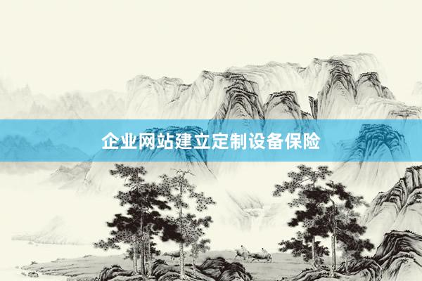 企业网站建立定制设备保险