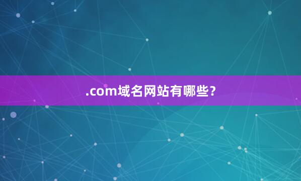 .com域名网站有哪些？