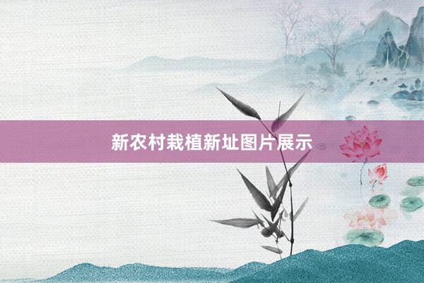 新农村栽植新址图片展示