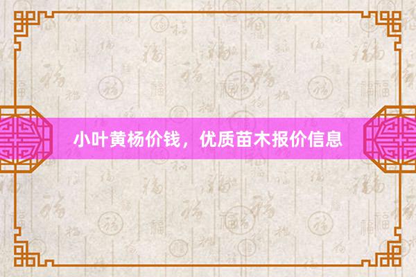 小叶黄杨价钱，优质苗木报价信息