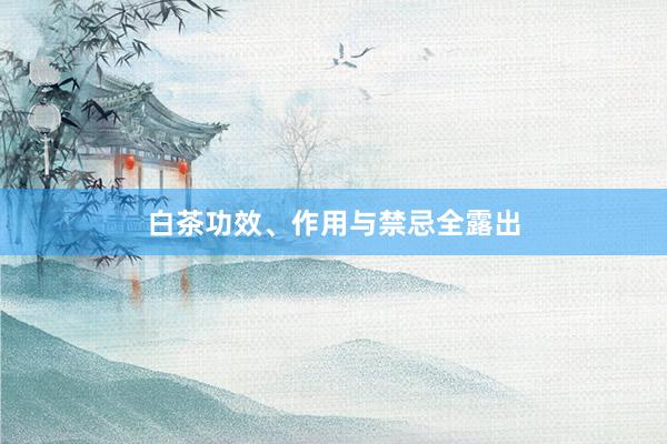 白茶功效、作用与禁忌全露出