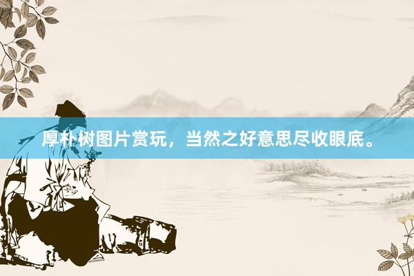 厚朴树图片赏玩，当然之好意思尽收眼底。