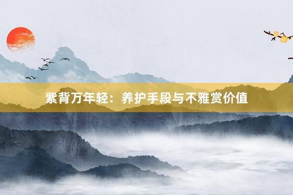 紫背万年轻：养护手段与不雅赏价值